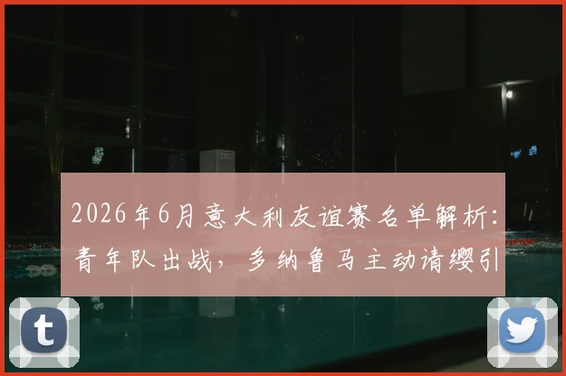 2026年6月意大利友谊赛名单解析：青年队出战，多纳鲁马主动请缨引关注